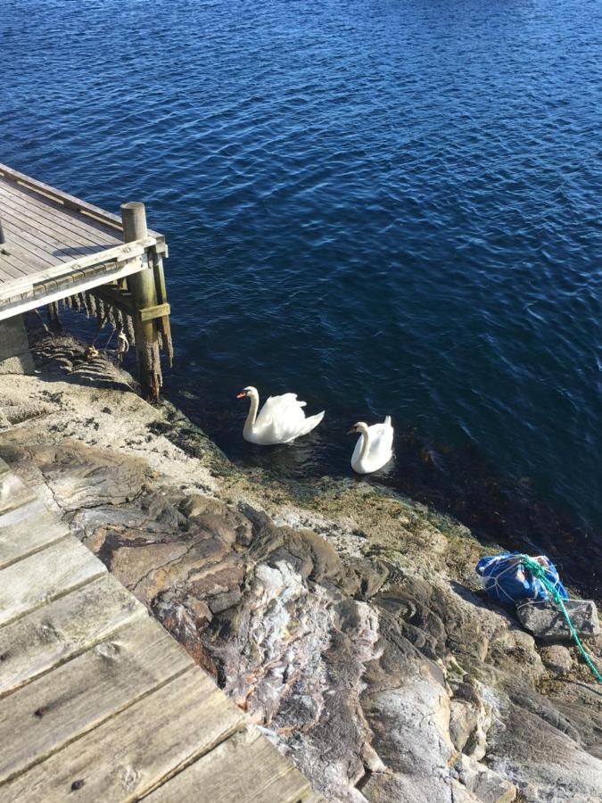 Bergen/sotra: Sea Cabin. Spa. Fishing. Boat *